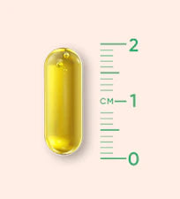Orangefit Vegan Omega 3 - 60 capsules - Algenolie - DHA & EPA - Supplementen - Voor Hart, Ogen & Hersenen
